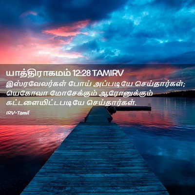 Picture 02 - யாத்திராகமம் 12:28 TAMIRV - இஸ்ரவேலர்கள் போய் - Bible Verse Picture