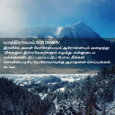 Picture 02 - யாத்திராகமம் 12:31 TAMIRV - இரவிலே அவன் - Bible Verse Picture