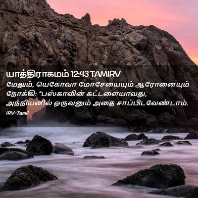 Picture 02 - யாத்திராகமம் 12:43 TAMIRV - மேலும், யெகோவா - Bible Verse Picture