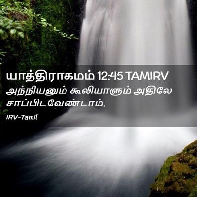 Picture 02 - யாத்திராகமம் 12:45 TAMIRV - அந்நியனும் - Bible Verse Picture
