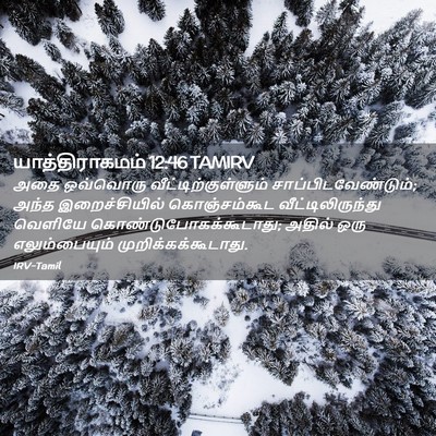 Picture 02 - யாத்திராகமம் 12:46 TAMIRV - அதை ஒவ்வொரு - Bible Verse Picture