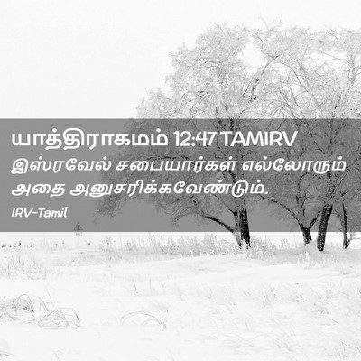 Picture 02 - யாத்திராகமம் 12:47 TAMIRV - இஸ்ரவேல் - Bible Verse Picture
