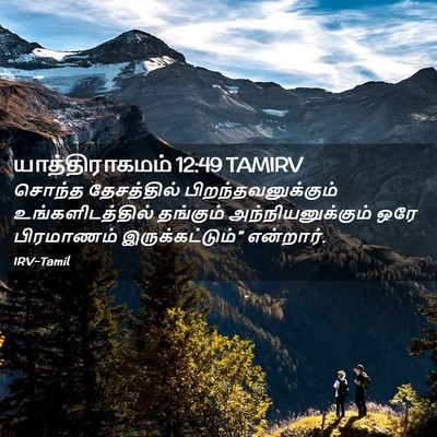 Picture 02 - யாத்திராகமம் 12:49 TAMIRV - சொந்த தேசத்தில் - Bible Verse Picture
