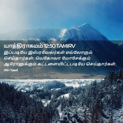 Picture 02 - யாத்திராகமம் 12:50 TAMIRV - இப்படியே - Bible Verse Picture