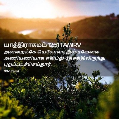 Picture 02 - யாத்திராகமம் 12:51 TAMIRV - அன்றைக்கே யெகோவா - Bible Verse Picture