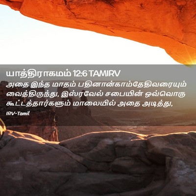 Picture 02 - யாத்திராகமம் 12:6 TAMIRV - அதை இந்த மாதம் - Bible Verse Picture