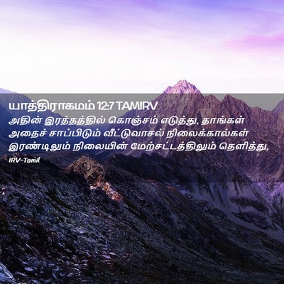 Picture 02 - யாத்திராகமம் 12:7 TAMIRV - அதின் இரத்தத்தில் - Bible Verse Picture