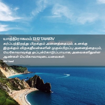 Picture 02 - யாத்திராகமம் 13:12 TAMIRV - கர்ப்பந்திறந்து - Bible Verse Picture