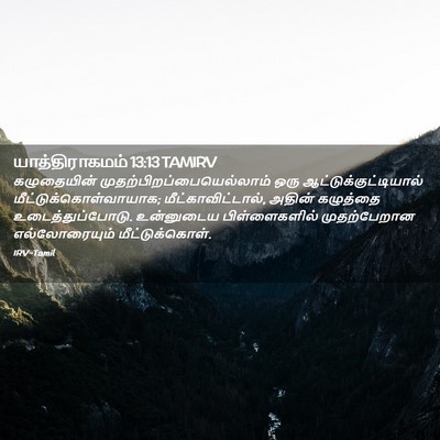 Picture 02 - யாத்திராகமம் 13:13 TAMIRV - கழுதையின் - Bible Verse Picture