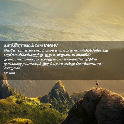 Picture 02 - யாத்திராகமம் 13:16 TAMIRV - யெகோவா எங்களைப் - Bible Verse Picture