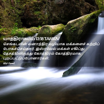 Picture 02 - யாத்திராகமம் 13:18 TAMIRV - செங்கடலின் - Bible Verse Picture