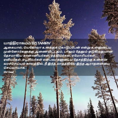 Picture 02 - யாத்திராகமம் 13:5 TAMIRV - ஆகையால், யெகோவா - Bible Verse Picture