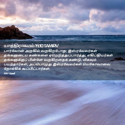 Picture 02 - யாத்திராகமம் 14:10 TAMIRV - பார்வோன் அருகில் - Bible Verse Picture