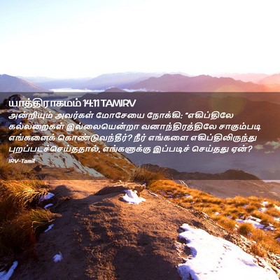 Picture 02 - யாத்திராகமம் 14:11 TAMIRV - அன்றியும் அவர்கள் - Bible Verse Picture