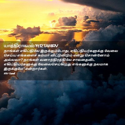 Picture 02 - யாத்திராகமம் 14:12 TAMIRV - நாங்கள் எகிப்திலே - Bible Verse Picture