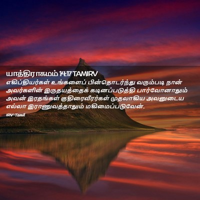Picture 02 - யாத்திராகமம் 14:17 TAMIRV - எகிப்தியர்கள் - Bible Verse Picture