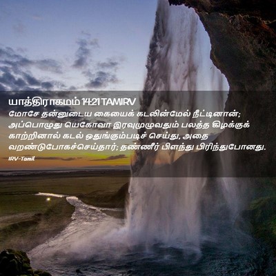 Picture 02 - யாத்திராகமம் 14:21 TAMIRV - மோசே தன்னுடைய - Bible Verse Picture