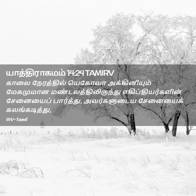 Picture 02 - யாத்திராகமம் 14:24 TAMIRV - காலை நேரத்தில் - Bible Verse Picture