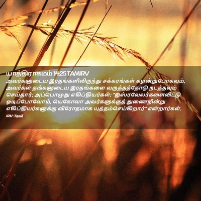 Picture 02 - யாத்திராகமம் 14:25 TAMIRV - அவர்களுடைய - Bible Verse Picture