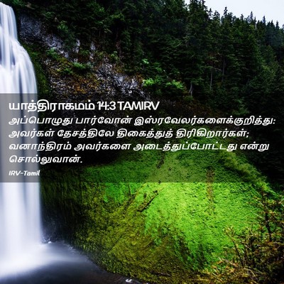 Picture 02 - யாத்திராகமம் 14:3 TAMIRV - அப்பொழுது - Bible Verse Picture