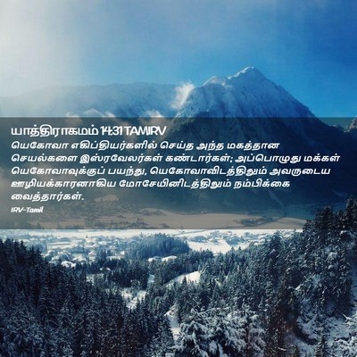 Picture 02 - யாத்திராகமம் 14:31 TAMIRV - யெகோவா - Bible Verse Picture