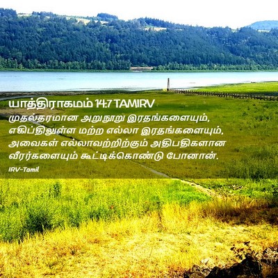 Picture 02 - யாத்திராகமம் 14:7 TAMIRV - முதல்தரமான - Bible Verse Picture