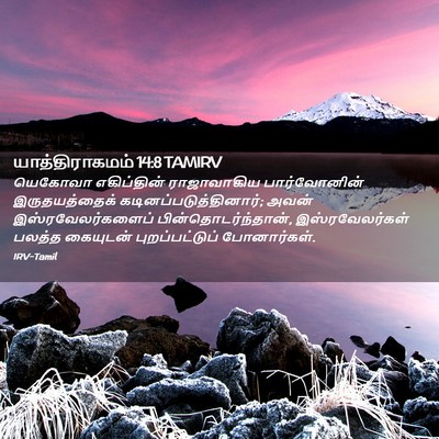 Picture 02 - யாத்திராகமம் 14:8 TAMIRV - யெகோவா எகிப்தின் - Bible Verse Picture