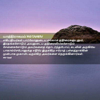 Picture 02 - யாத்திராகமம் 14:9 TAMIRV - எகிப்தியர்கள் - Bible Verse Picture