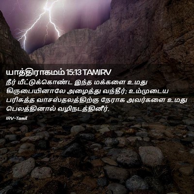 Picture 02 - யாத்திராகமம் 15:13 TAMIRV - நீர் - Bible Verse Picture