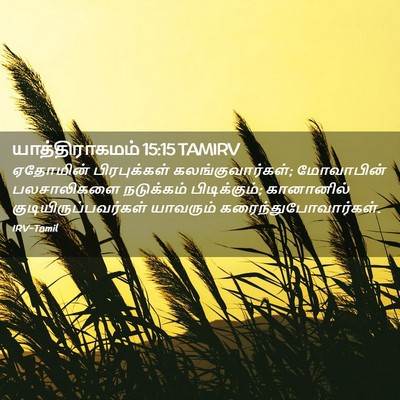 Picture 02 - யாத்திராகமம் 15:15 TAMIRV - ஏதோமின் - Bible Verse Picture