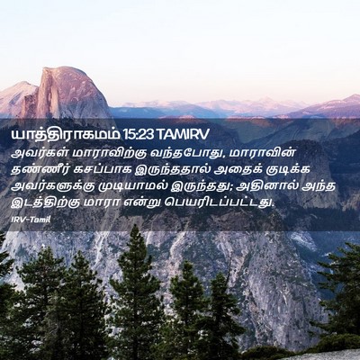 Picture 02 - யாத்திராகமம் 15:23 TAMIRV - அவர்கள் - Bible Verse Picture