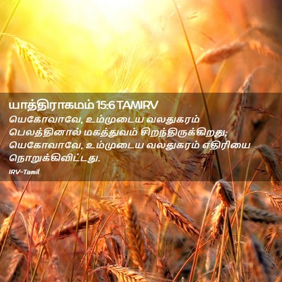 Picture 02 - யாத்திராகமம் 15:6 TAMIRV - யெகோவாவே, - Bible Verse Picture