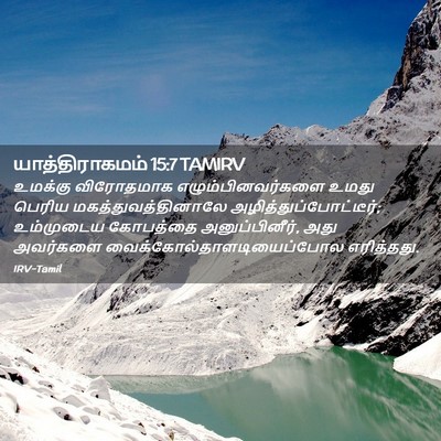 Picture 02 - யாத்திராகமம் 15:7 TAMIRV - உமக்கு விரோதமாக - Bible Verse Picture
