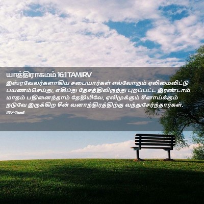 Picture 02 - யாத்திராகமம் 16:1 TAMIRV - இஸ்ரவேலர்களாகிய - Bible Verse Picture