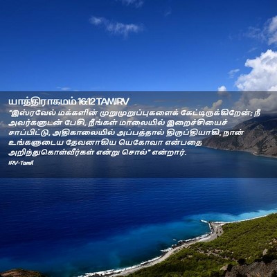 Picture 02 - யாத்திராகமம் 16:12 TAMIRV - “இஸ்ரவேல் - Bible Verse Picture