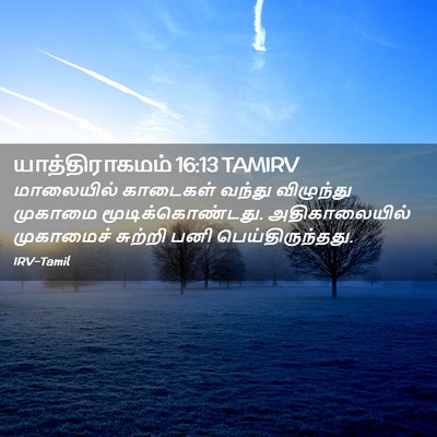 Picture 02 - யாத்திராகமம் 16:13 TAMIRV - மாலையில் காடைகள் - Bible Verse Picture