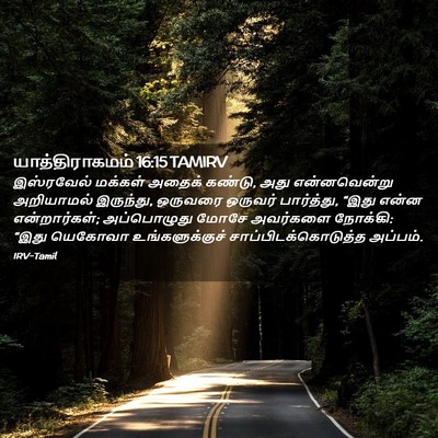 Picture 02 - யாத்திராகமம் 16:15 TAMIRV - இஸ்ரவேல் மக்கள் - Bible Verse Picture