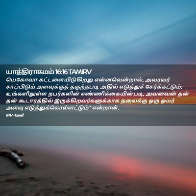 Picture 02 - யாத்திராகமம் 16:16 TAMIRV - யெகோவா - Bible Verse Picture
