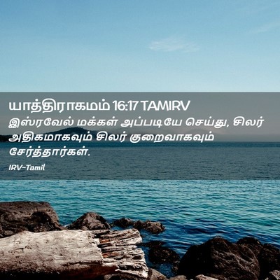 Picture 02 - யாத்திராகமம் 16:17 TAMIRV - இஸ்ரவேல் மக்கள் - Bible Verse Picture