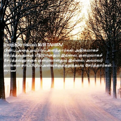 Picture 02 - யாத்திராகமம் 16:18 TAMIRV - பின்பு, அதை ஓமரால் - Bible Verse Picture