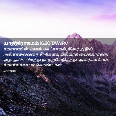Picture 02 - யாத்திராகமம் 16:20 TAMIRV - மோசேயின் சொல் - Bible Verse Picture