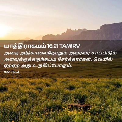 Picture 02 - யாத்திராகமம் 16:21 TAMIRV - அதை அதிகாலைதோறும் - Bible Verse Picture