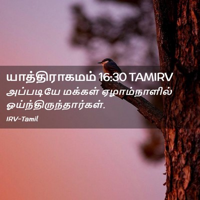 Picture 02 - யாத்திராகமம் 16:30 TAMIRV - அப்படியே மக்கள் - Bible Verse Picture
