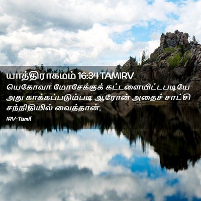 Picture 02 - யாத்திராகமம் 16:34 TAMIRV - யெகோவா மோசேக்குக் - Bible Verse Picture