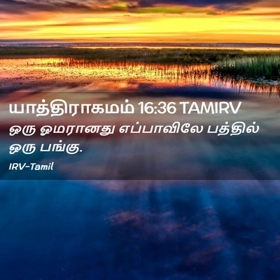 Picture 02 - யாத்திராகமம் 16:36 TAMIRV - ஒரு ஓமரானது - Bible Verse Picture