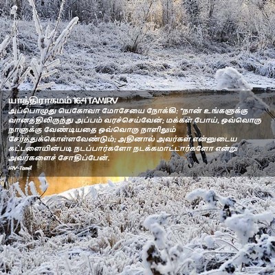 Picture 02 - யாத்திராகமம் 16:4 TAMIRV - அப்பொழுது யெகோவா - Bible Verse Picture