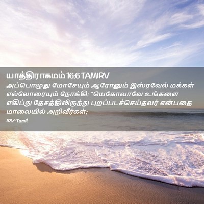 Picture 02 - யாத்திராகமம் 16:6 TAMIRV - அப்பொழுது - Bible Verse Picture