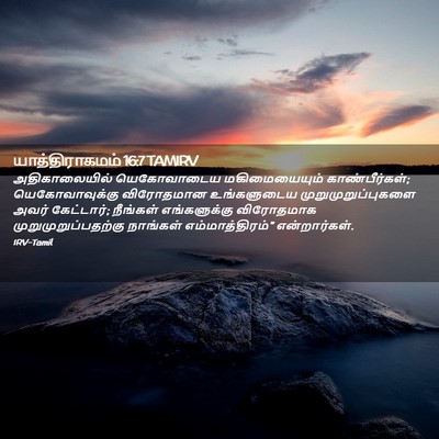 Picture 02 - யாத்திராகமம் 16:7 TAMIRV - அதிகாலையில் - Bible Verse Picture