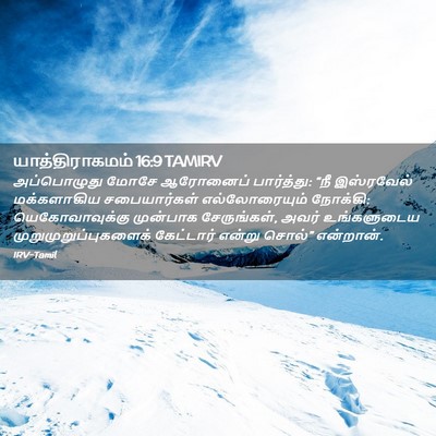 Picture 02 - யாத்திராகமம் 16:9 TAMIRV - அப்பொழுது மோசே - Bible Verse Picture