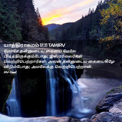 Picture 02 - யாத்திராகமம் 17:11 TAMIRV - மோசே தன்னுடைய - Bible Verse Picture